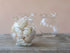 Wavy Clear Glass Container - Pack of 50